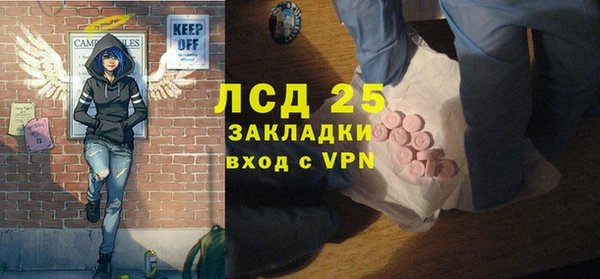 индика Абаза