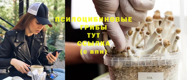 трава Алексеевка