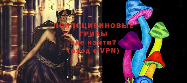 сатива Алексин