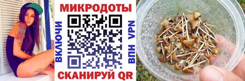 blacksprut сайт  где продают   Керчь  Галлюциногенные грибы ЛСД 