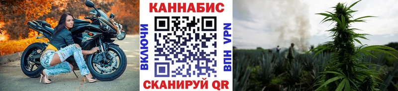 кракен как войти  Керчь  МАРИХУАНА тримм 